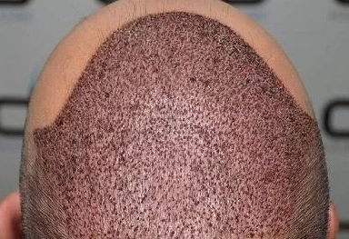 screenshot 2026 01 08 011632