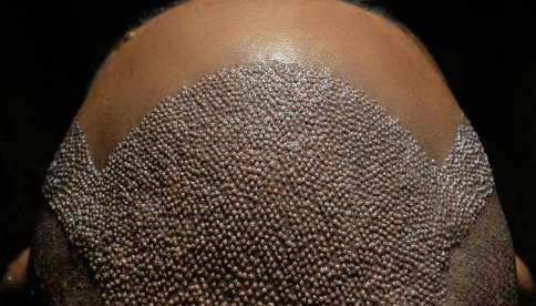 screenshot 2026 01 08 011830