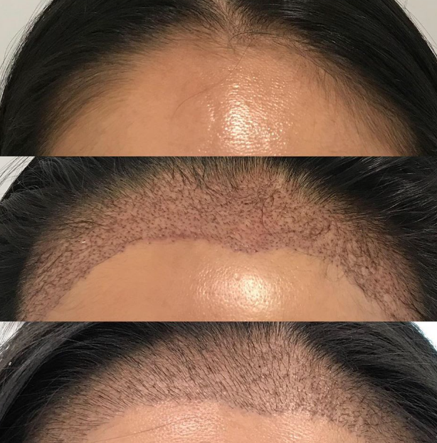 screenshot 2026 01 08 020913